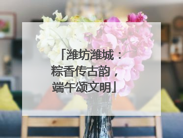 潍坊潍城：粽香传古韵，端午颂文明
