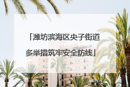 潍坊滨海区央子街道多举措筑牢安全防线