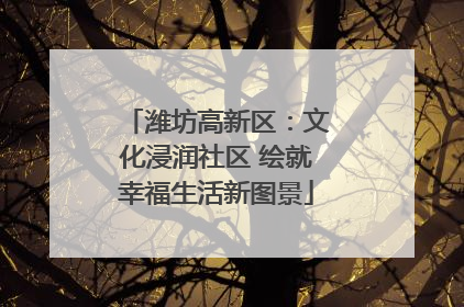 潍坊高新区：文化浸润社区 绘就幸福生活新图景