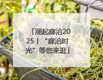 潮起廊洽2025丨“廊洽时光”等您来逛