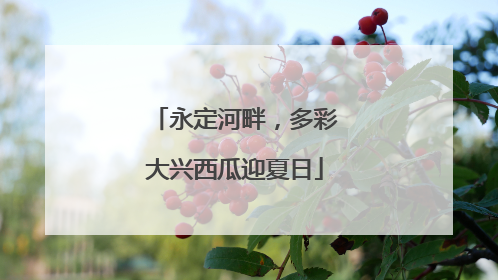 永定河畔，多彩大兴西瓜迎夏日