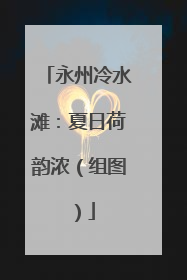 永州冷水滩：夏日荷韵浓（组图）