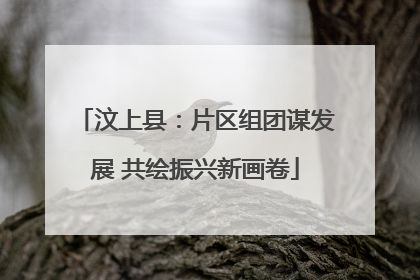汶上县：片区组团谋发展 共绘振兴新画卷