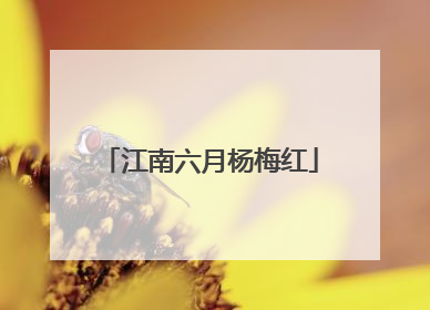 江南六月杨梅红