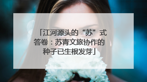 江河源头的“苏”式答卷：苏青文旅协作的种子已生根发芽