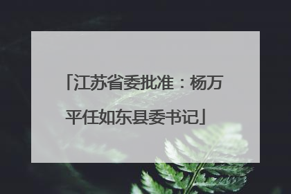 江苏省委批准：杨万平任如东县委书记