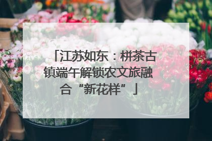江苏如东：栟茶古镇端午解锁农文旅融合“新花样”