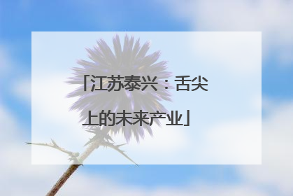 江苏泰兴：舌尖上的未来产业