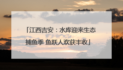 江西吉安：水库迎来生态捕鱼季 鱼跃人欢获丰收