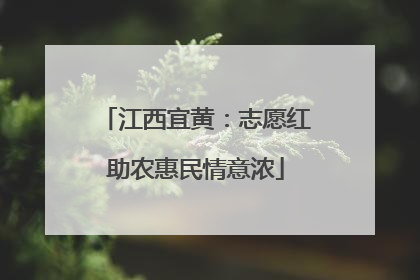 江西宜黄：志愿红助农惠民情意浓