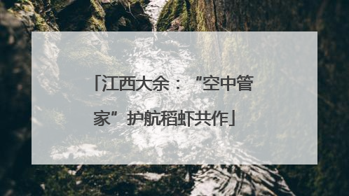 江西大余：“空中管家”护航稻虾共作