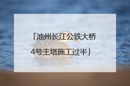 池州长江公铁大桥4号主塔施工过半