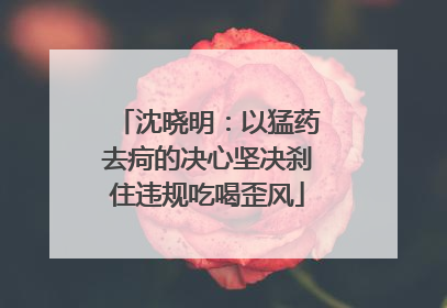 沈晓明：以猛药去疴的决心坚决刹住违规吃喝歪风