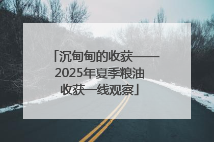 沉甸甸的收获——2025年夏季粮油收获一线观察