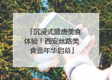 沉浸式盛唐美食体验！西安丝路美食嘉年华启幕