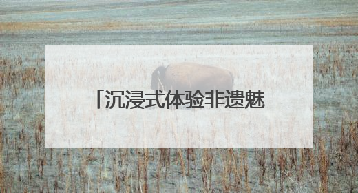 沉浸式体验非遗魅力 江苏阜宁庙湾古城上演文化盛宴