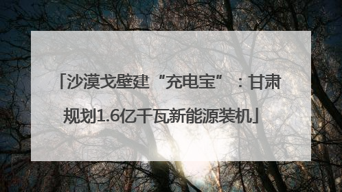 沙漠戈壁建“充电宝”：甘肃规划1.6亿千瓦新能源装机