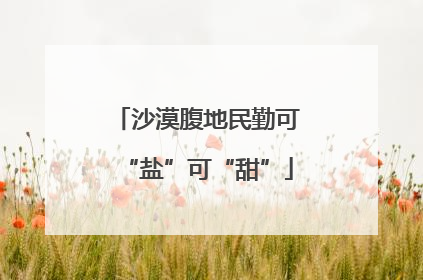 沙漠腹地民勤可“盐”可“甜”