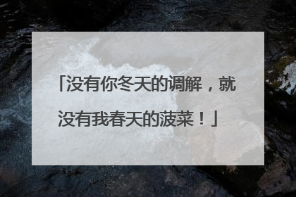 没有你冬天的调解，就没有我春天的菠菜！