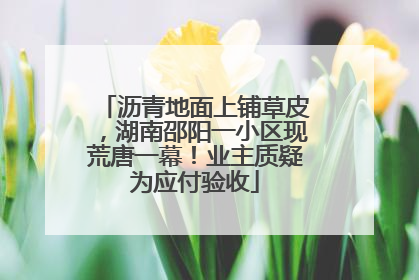 沥青地面上铺草皮，湖南邵阳一小区现荒唐一幕！业主质疑为应付验收