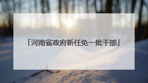 河南省政府新任免一批干部