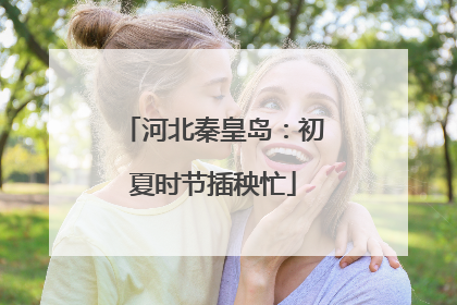 河北秦皇岛：初夏时节插秧忙