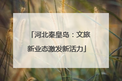 河北秦皇岛：文旅新业态激发新活力