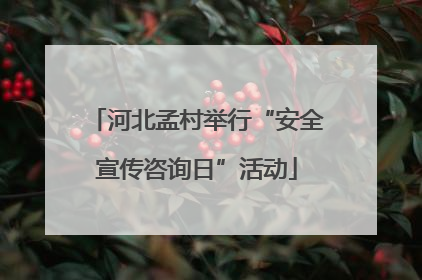 河北孟村举行“安全宣传咨询日”活动