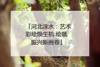 河北涞水：艺术彩绘焕生机 绘就振兴新画卷