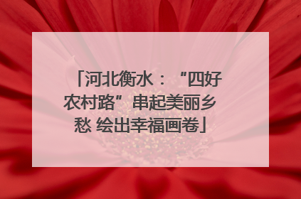 河北衡水：“四好农村路”串起美丽乡愁 绘出幸福画卷