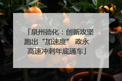 泉州德化：创新攻坚跑出“加速度” 政永高速冲刺年底通车