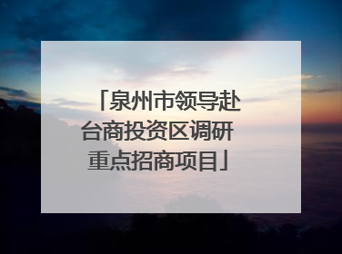 泉州市领导赴台商投资区调研重点招商项目