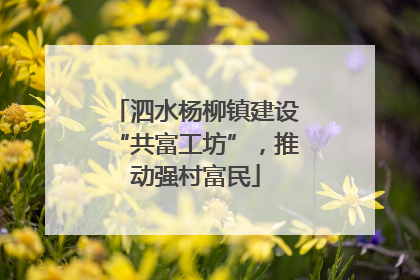 泗水杨柳镇建设“共富工坊”，推动强村富民