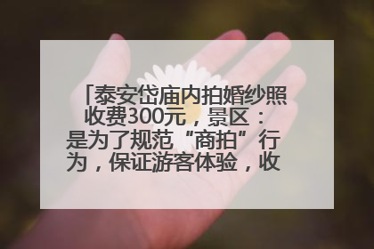 泰安岱庙内拍婚纱照收费300元，景区：是为了规范“商拍”行为，保证游客体验，收取费用全部上交国库