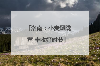 洛南：小麦覆陇黄 丰收好时节