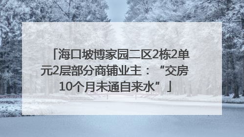 海口坡博家园二区2栋2单元2层部分商铺业主：“交房10个月未通自来水”