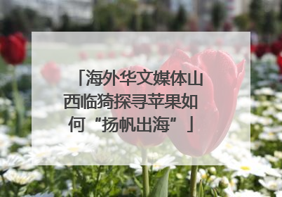 海外华文媒体山西临猗探寻苹果如何“扬帆出海”