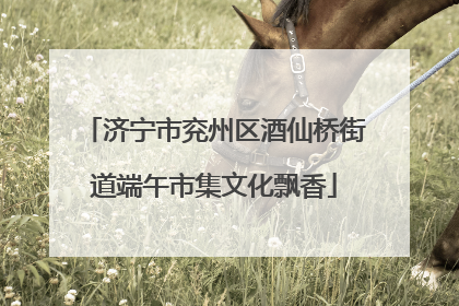 济宁市兖州区酒仙桥街道端午市集文化飘香