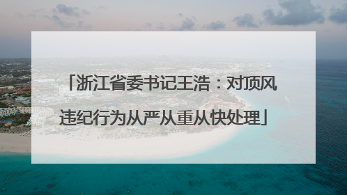 浙江省委书记王浩：对顶风违纪行为从严从重从快处理