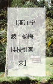 浙江宁波：杨梅挂枝引客来