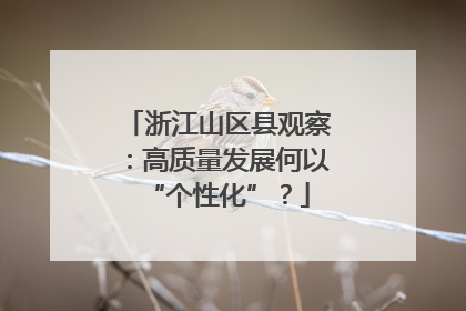 浙江山区县观察：高质量发展何以“个性化”？