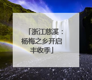 浙江慈溪：杨梅之乡开启丰收季