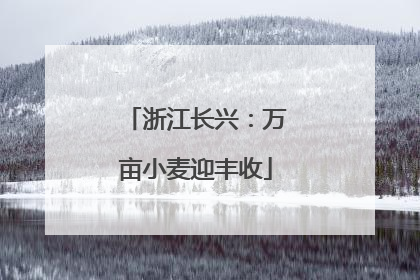 浙江长兴：万亩小麦迎丰收