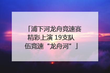 浦下河龙舟竞速赛精彩上演 19支队伍竞速“龙舟河”