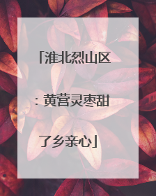 淮北烈山区：黄营灵枣甜了乡亲心