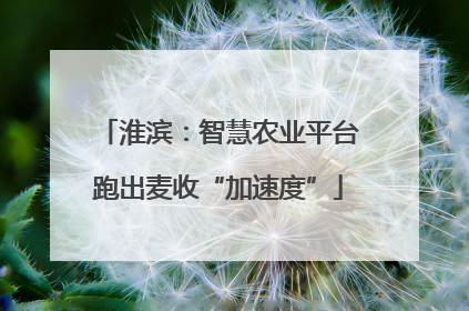 淮滨：智慧农业平台跑出麦收“加速度”
