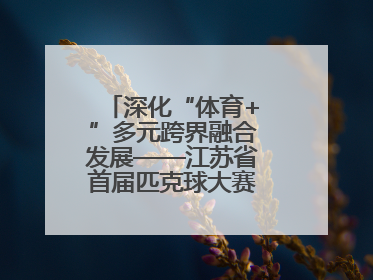 深化“体育+”多元跨界融合发展——江苏省首届匹克球大赛在无锡开赛