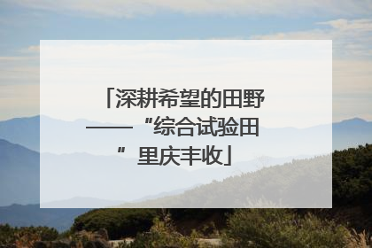 深耕希望的田野——“综合试验田”里庆丰收