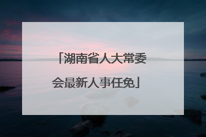 湖南省人大常委会最新人事任免