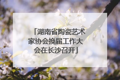 湖南省陶瓷艺术家协会换届工作大会在长沙召开